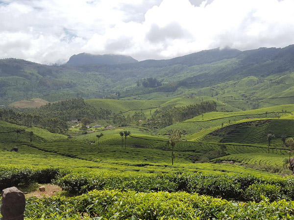 Munnar